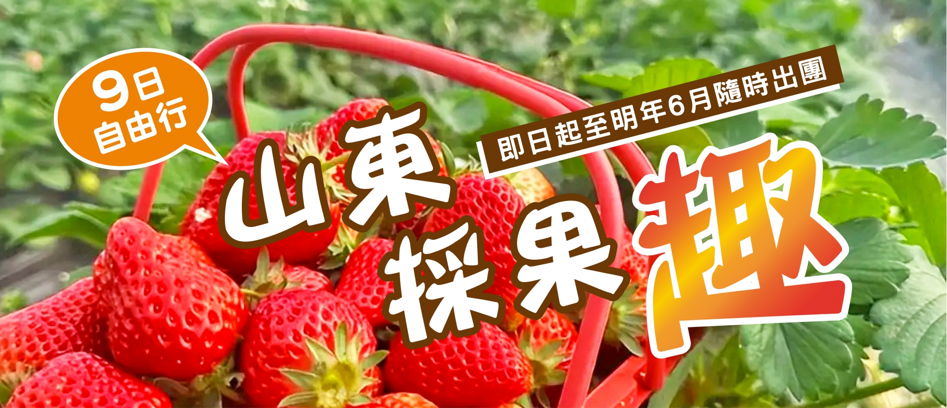 山東自由行 山東自由行