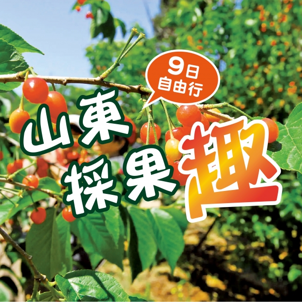 1200x1200山東採果趣-01 _1_.jpg