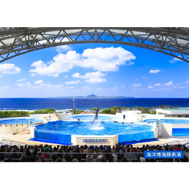 海洋博海豚表演