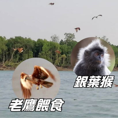 服務據點 _5_.png