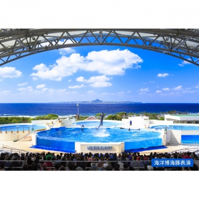 海洋博海豚表演